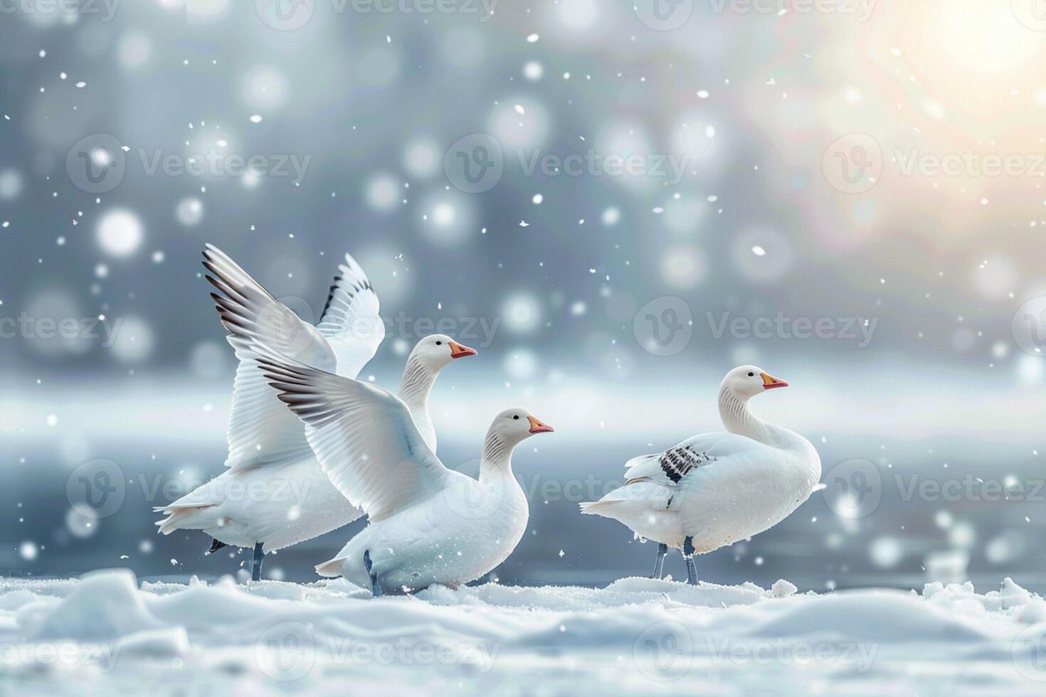 AI generated Winter tableau Snow geese on a snow covered background with space photo