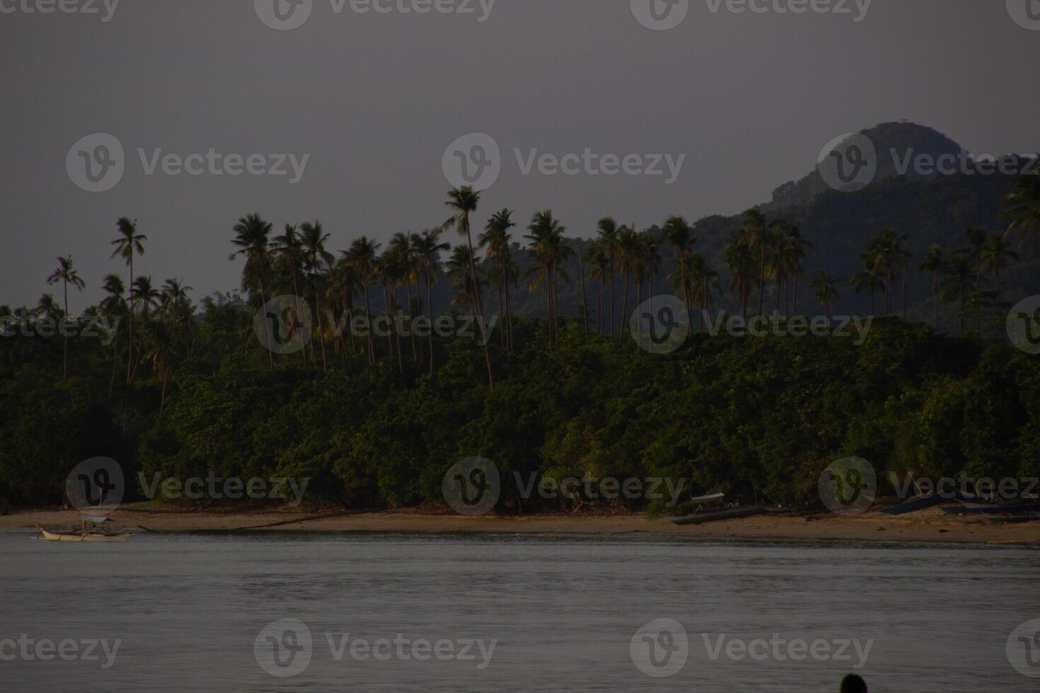 View of Nacpan Beach photo