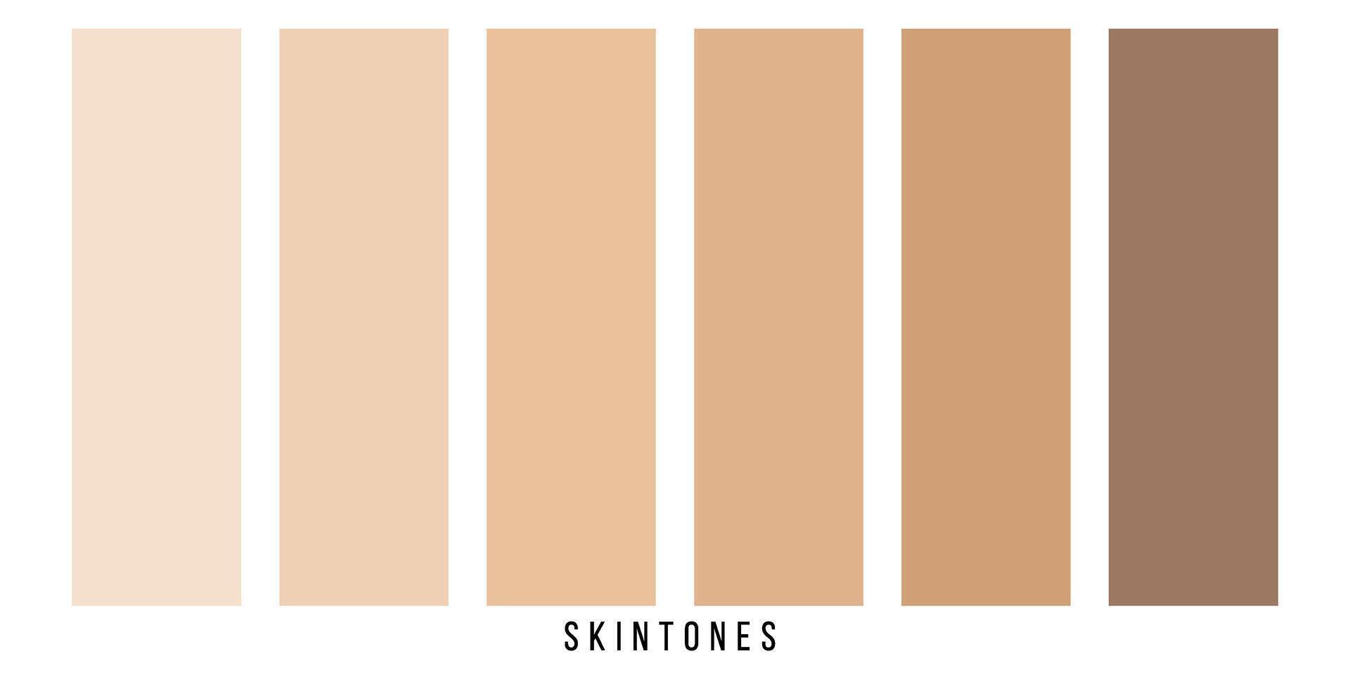 skin tone pallet color set vector