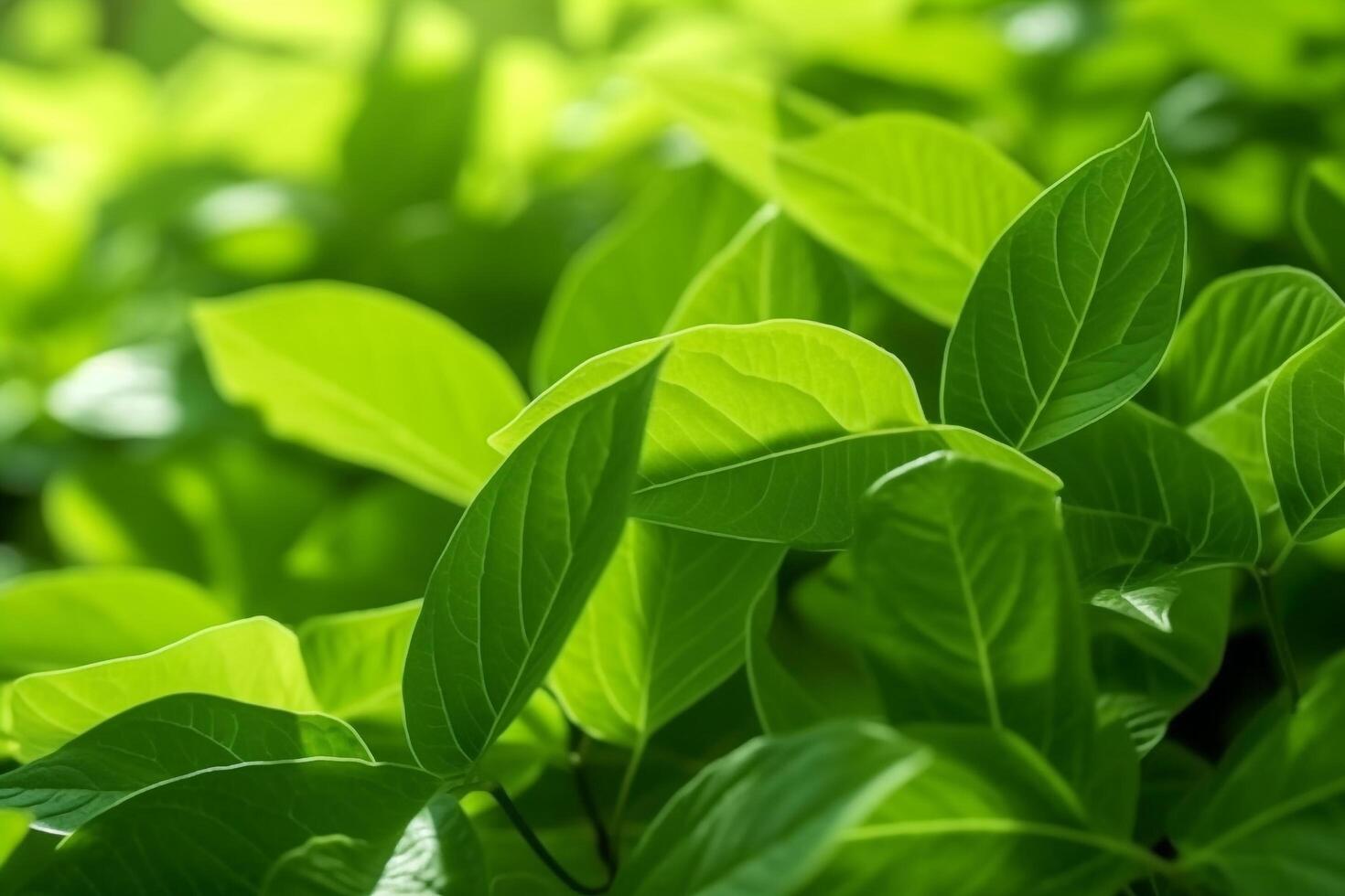 Close up green leaves with blur green background.Generative Ai. photo