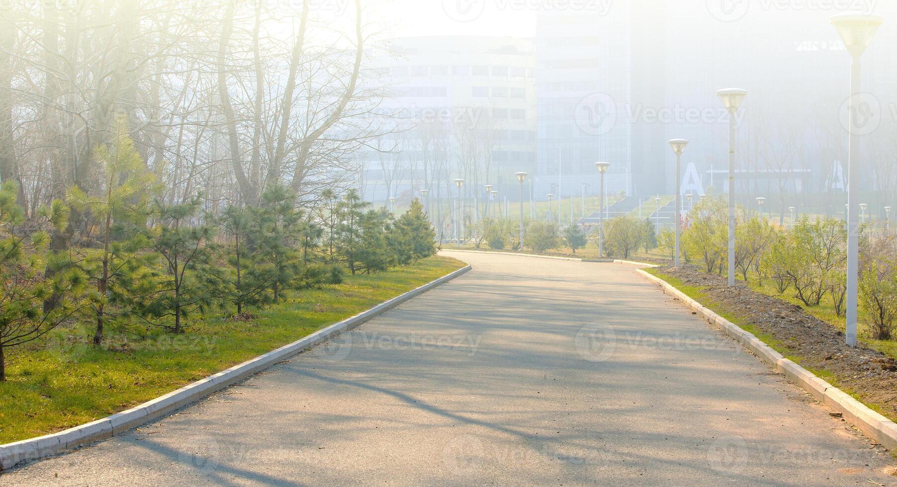 devanado caminando camino mediante el parque en lejos oriental federal Universidad en luz de sol foto