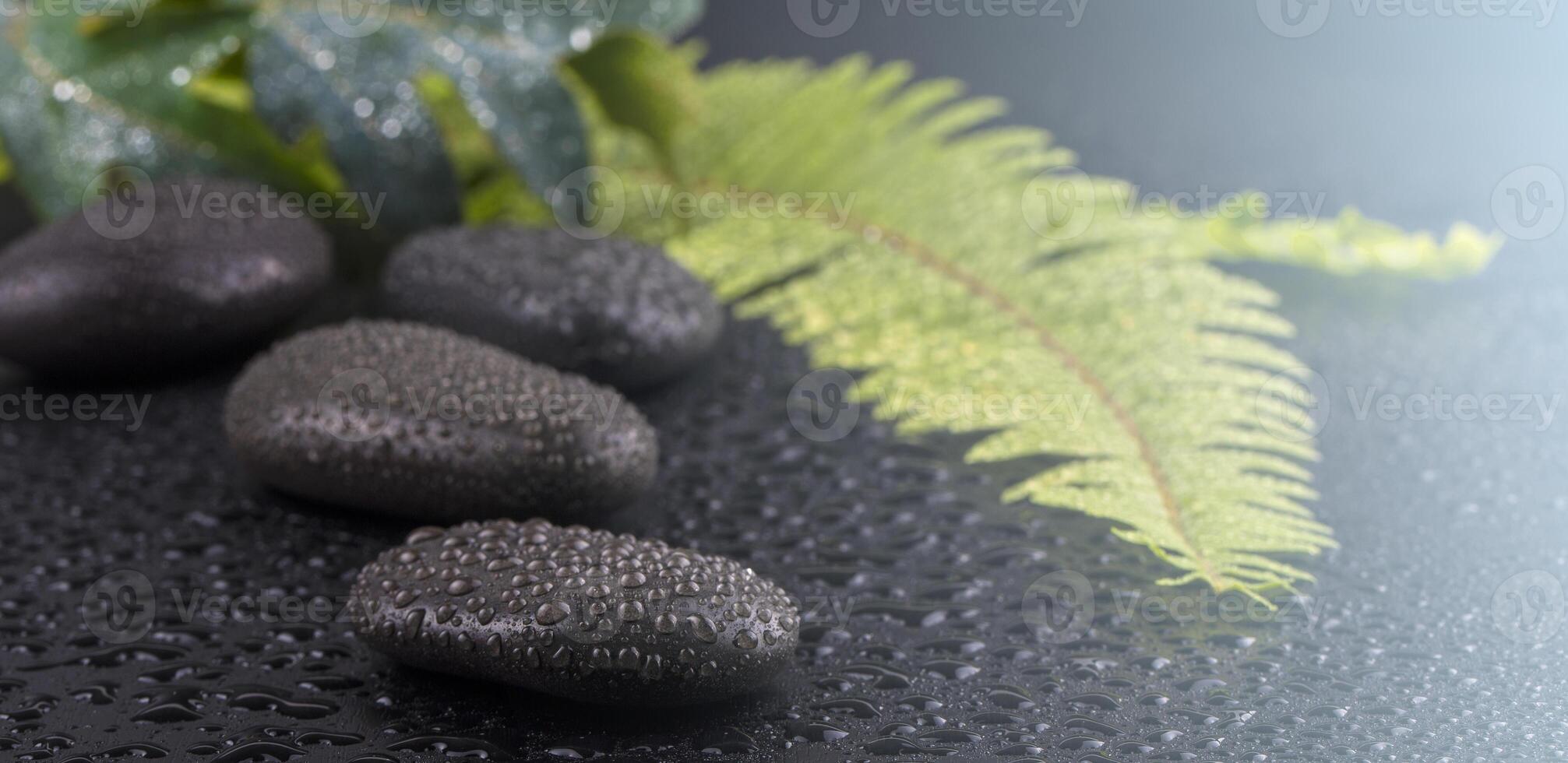 Stacked wet spa stone with green leaf. selective focus.tone image on sunlight photo