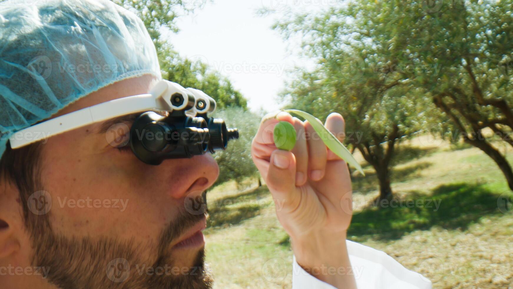 agronomía científico mirando a un aceituna con especial lentes foto