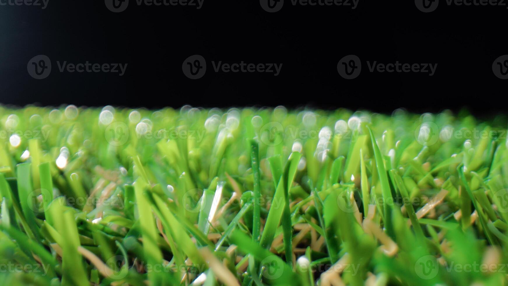 Grass of a football pitch photo