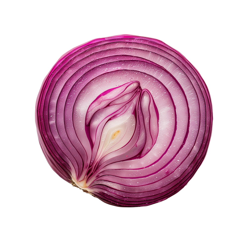 AI generated Onion slice Isolated on transparent background png