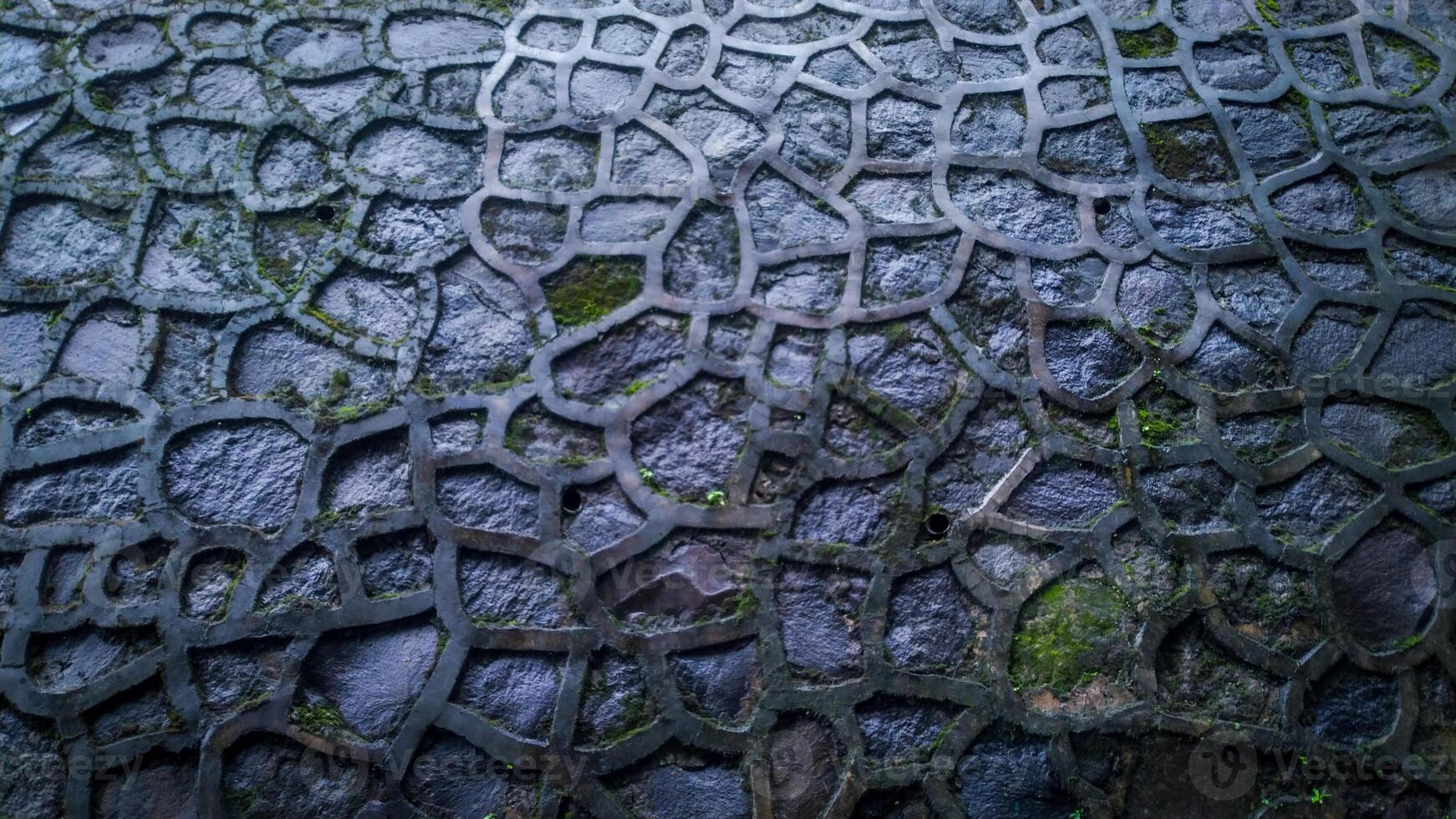 Texture of a stone wall. wet stone wall with moss growing on stone photo