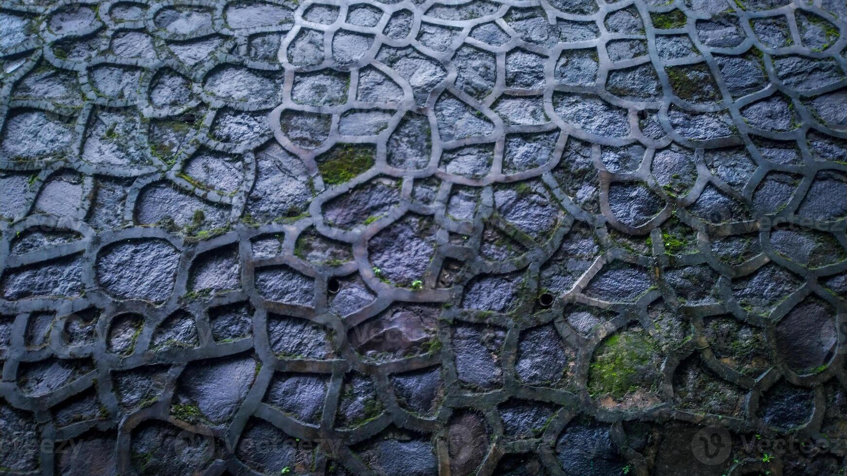 Texture of a stone wall. wet stone wall with moss growing on stone photo