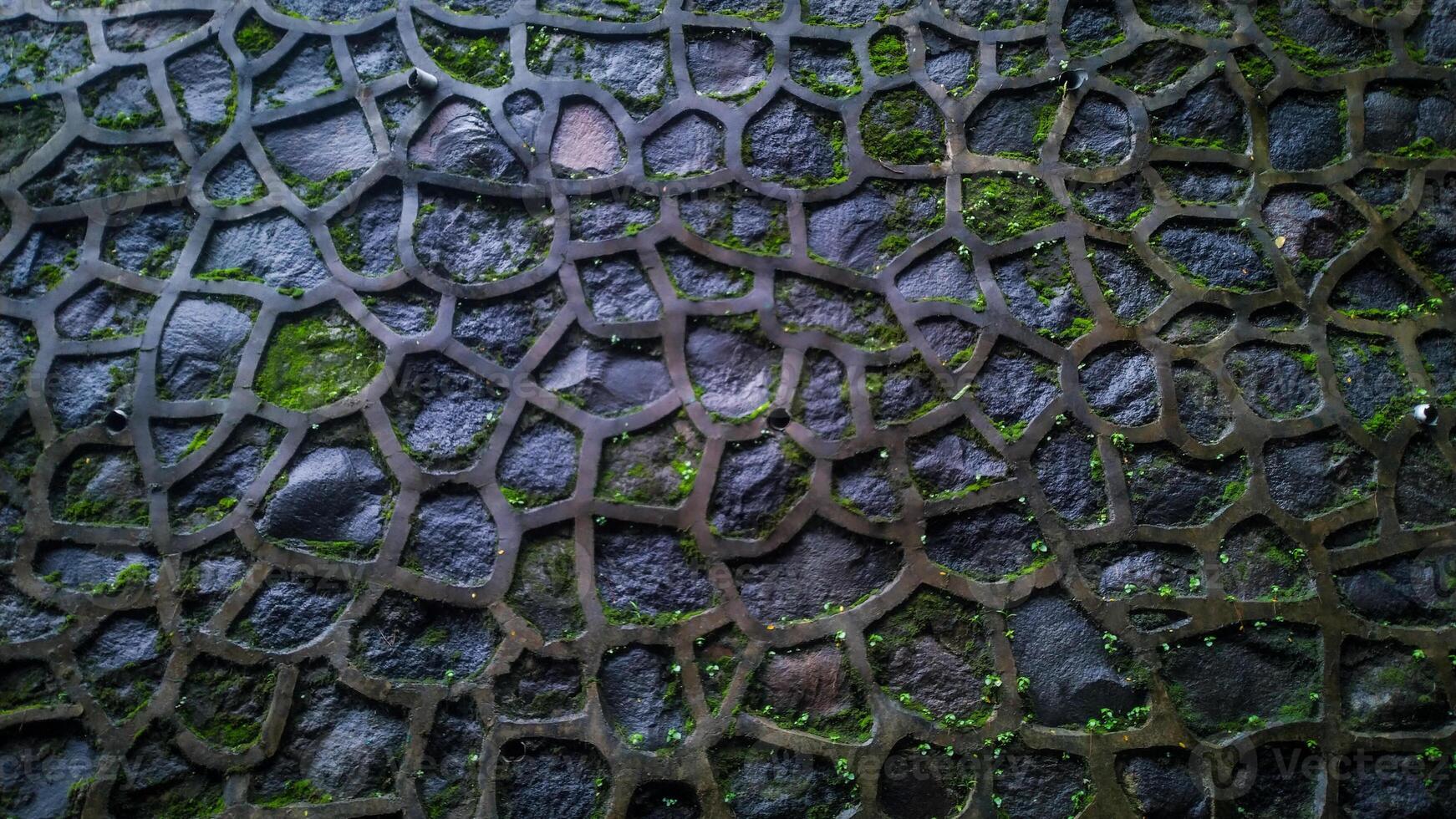 Texture of a stone wall. wet stone wall with moss growing on stone photo
