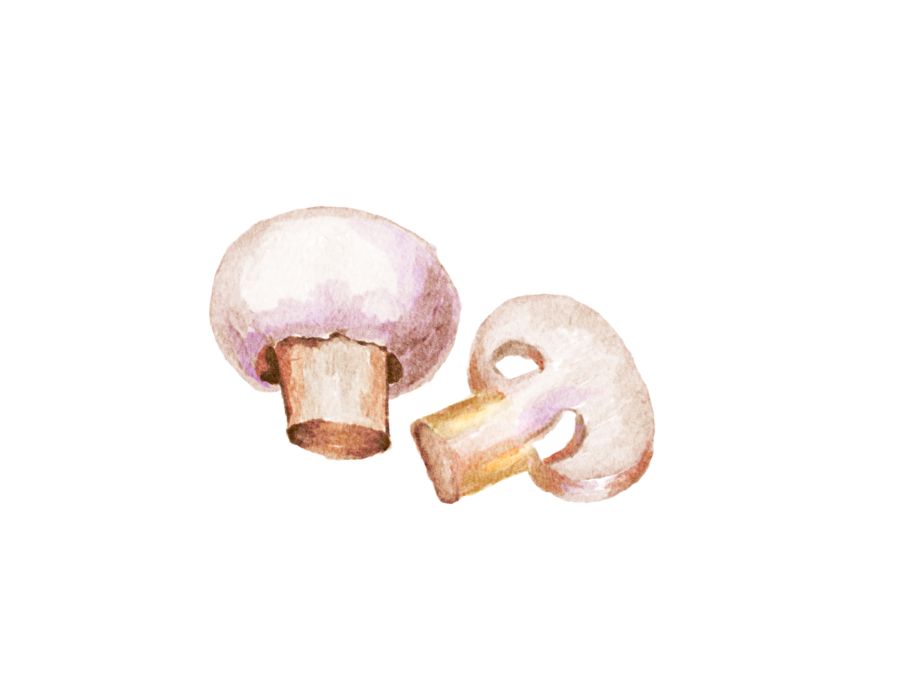 Watercolor mushroom, vegetable png