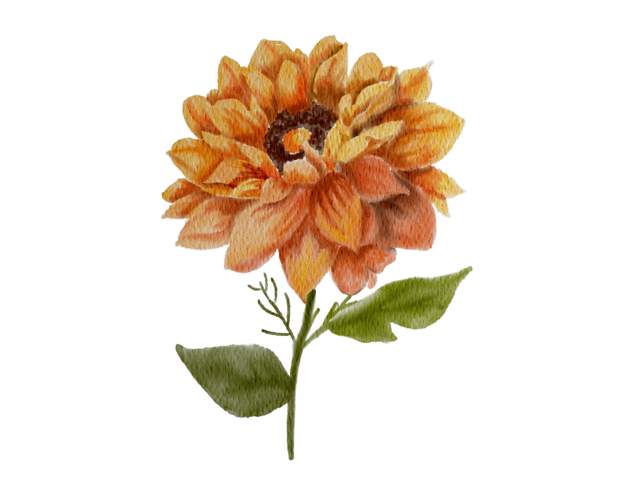 Watercolor yellow flower png