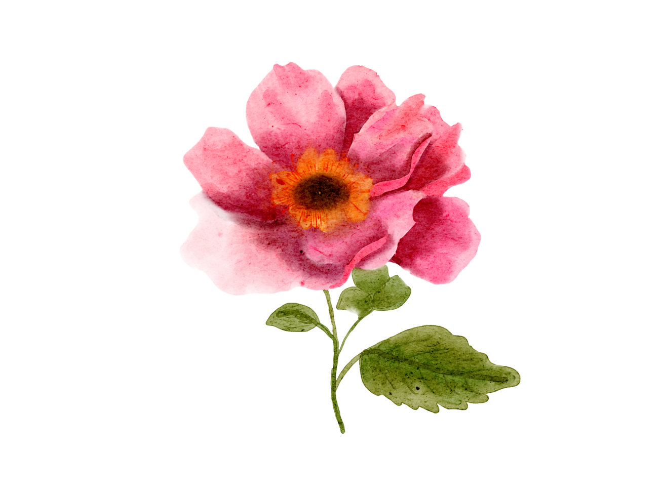 Watercolor spring flower png