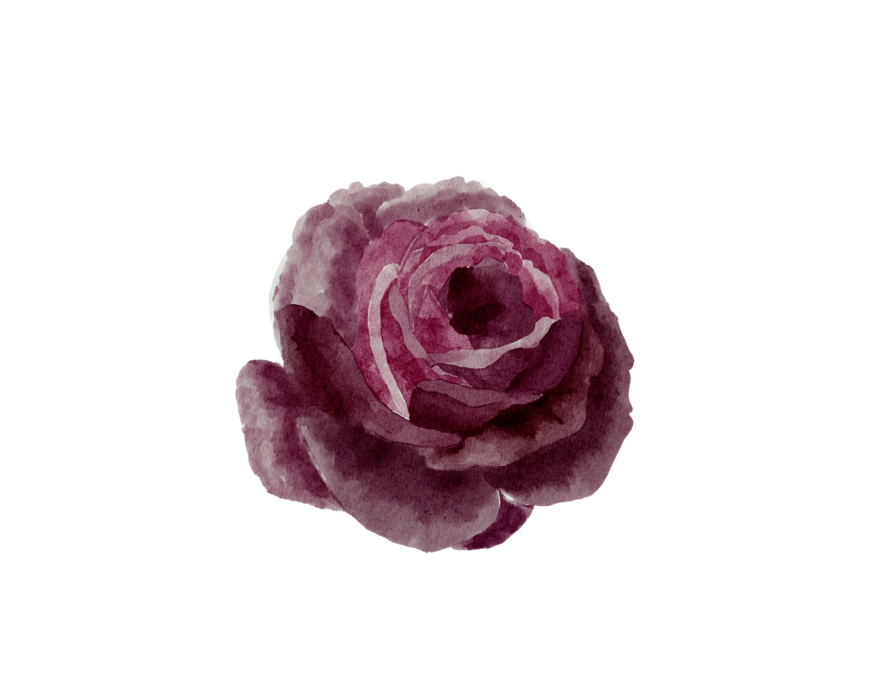 Watercolor purple rose png