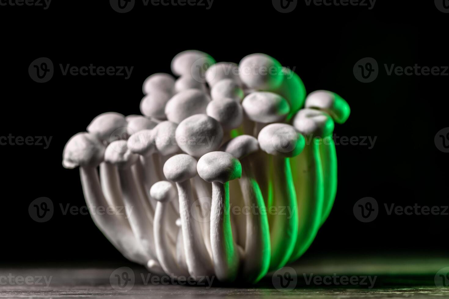 Closeup of a bunch of shimeji mushrooms on dark background, with selective focus photo