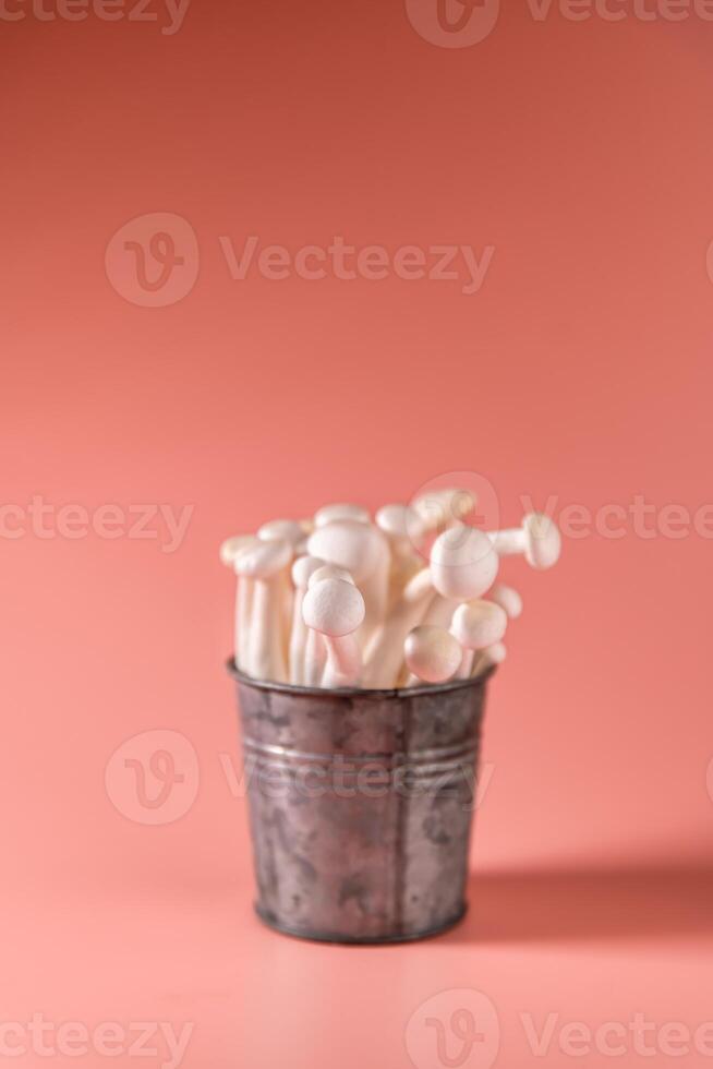 shimeji mushrooms in a bucket, on pink, peach fuzz background photo