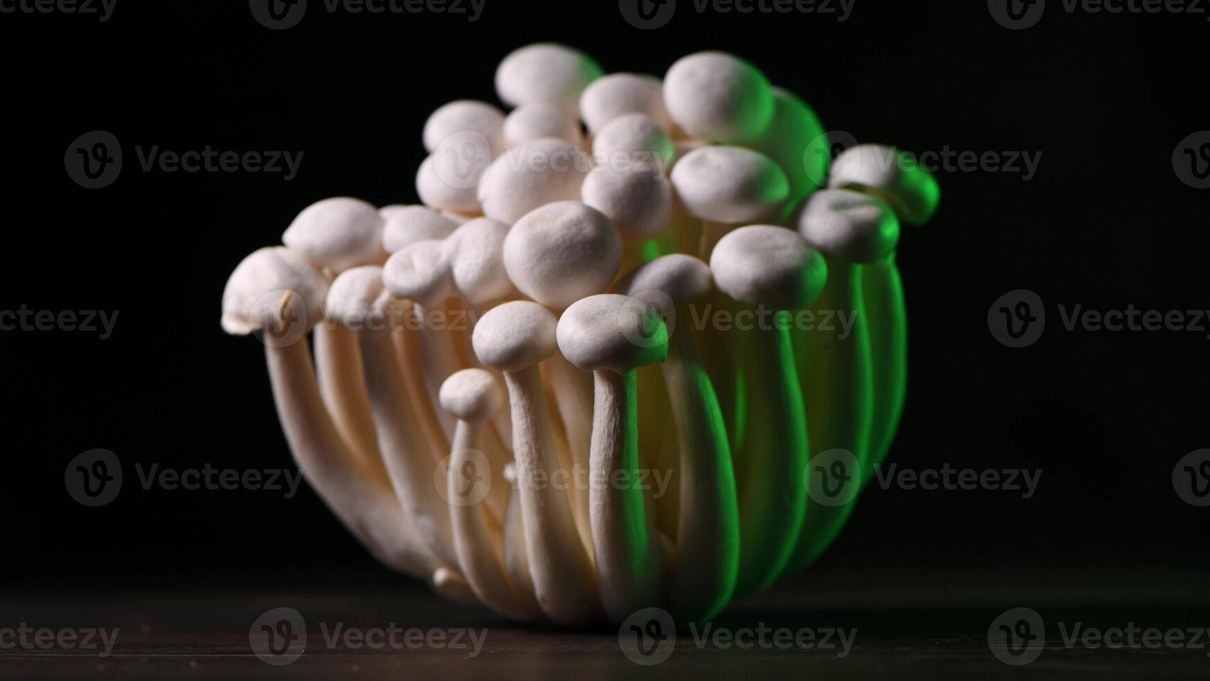 Closeup of a bunch of shimeji mushrooms with different colors on dark background photo