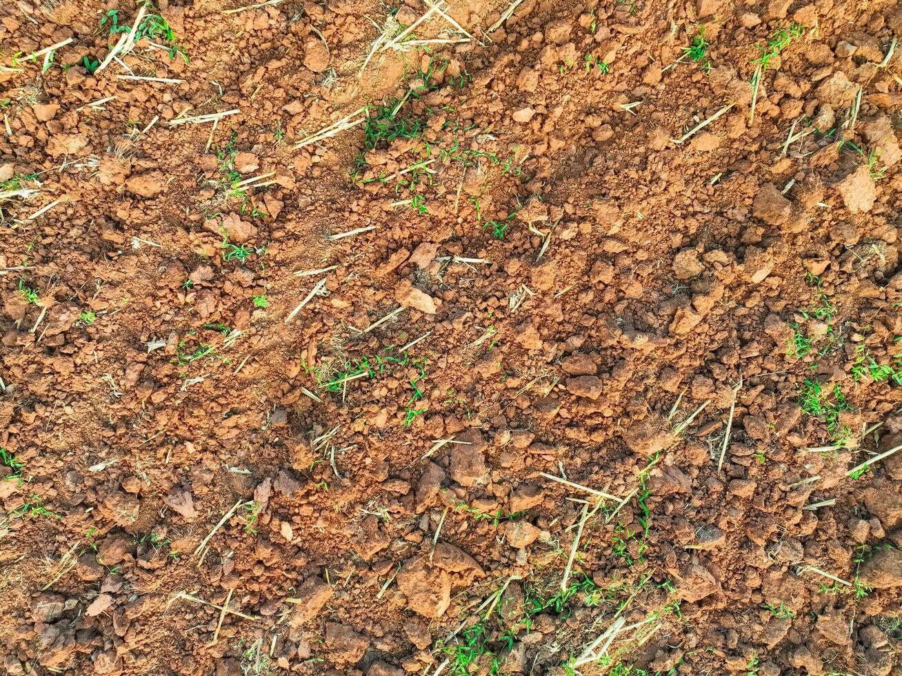 Aerial view of agriculture plowed field. Minimal tillage for healthier soils. Fertile soil in organic agricultural farm. Soil conservation. Sustainable agriculture. Soil fertility. Plowed land. photo