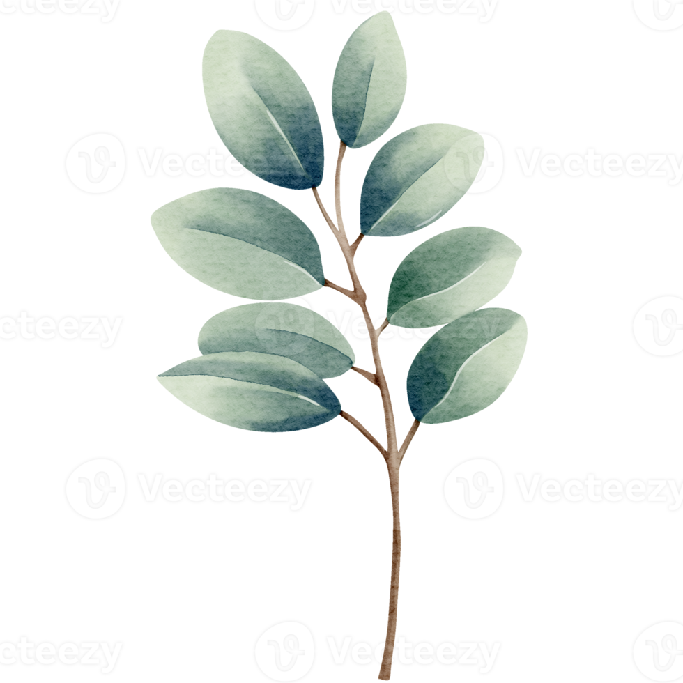 Watercolor plant. Blue color. Delicate watercolor botanical element for wedding invitations, save the date, thank you, greeting card, poster. Leaves elements. png