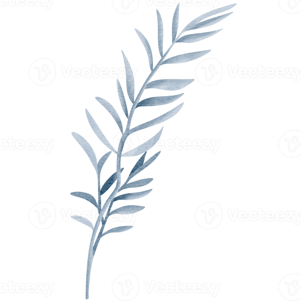 Watercolor plant. Blue color. Delicate watercolor botanical element for wedding invitations, save the date, thank you, greeting card, poster. Leaves elements. png