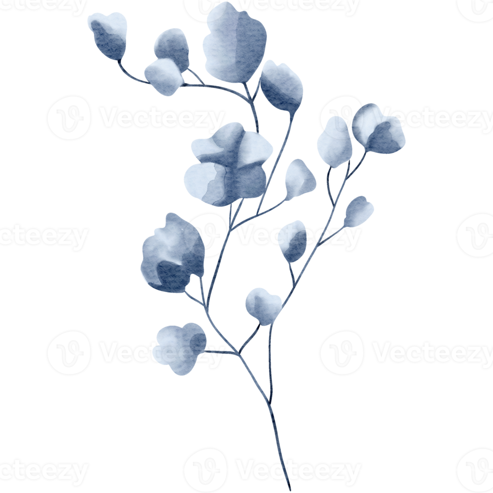 Watercolor plant. Blue color. Delicate watercolor botanical element for wedding invitations, save the date, thank you, greeting card, poster. Leaves elements. png