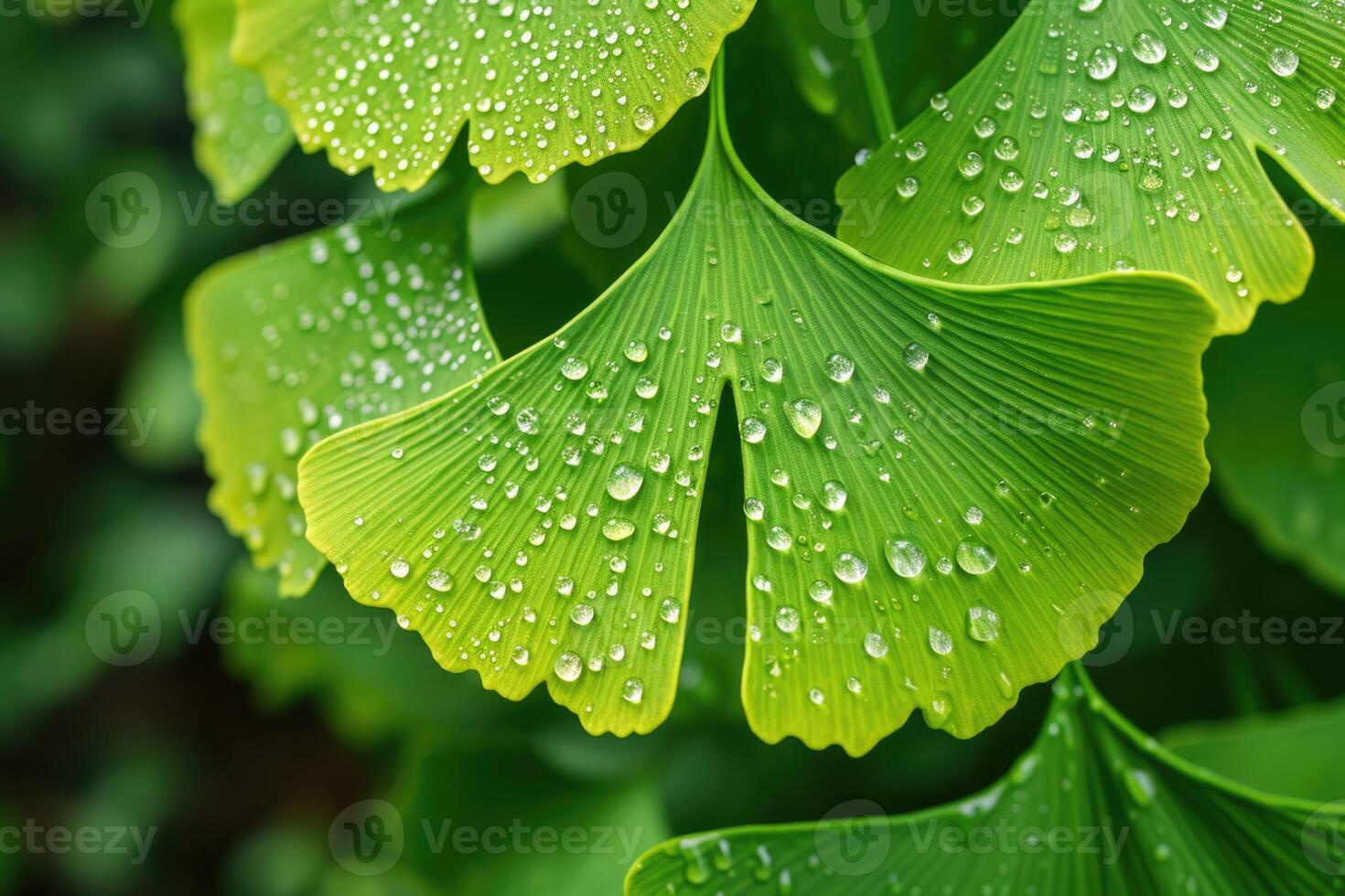 AI generated Maidenhair or ginkgo biloba leaves. Healing plant in traditional Chinese medicine photo