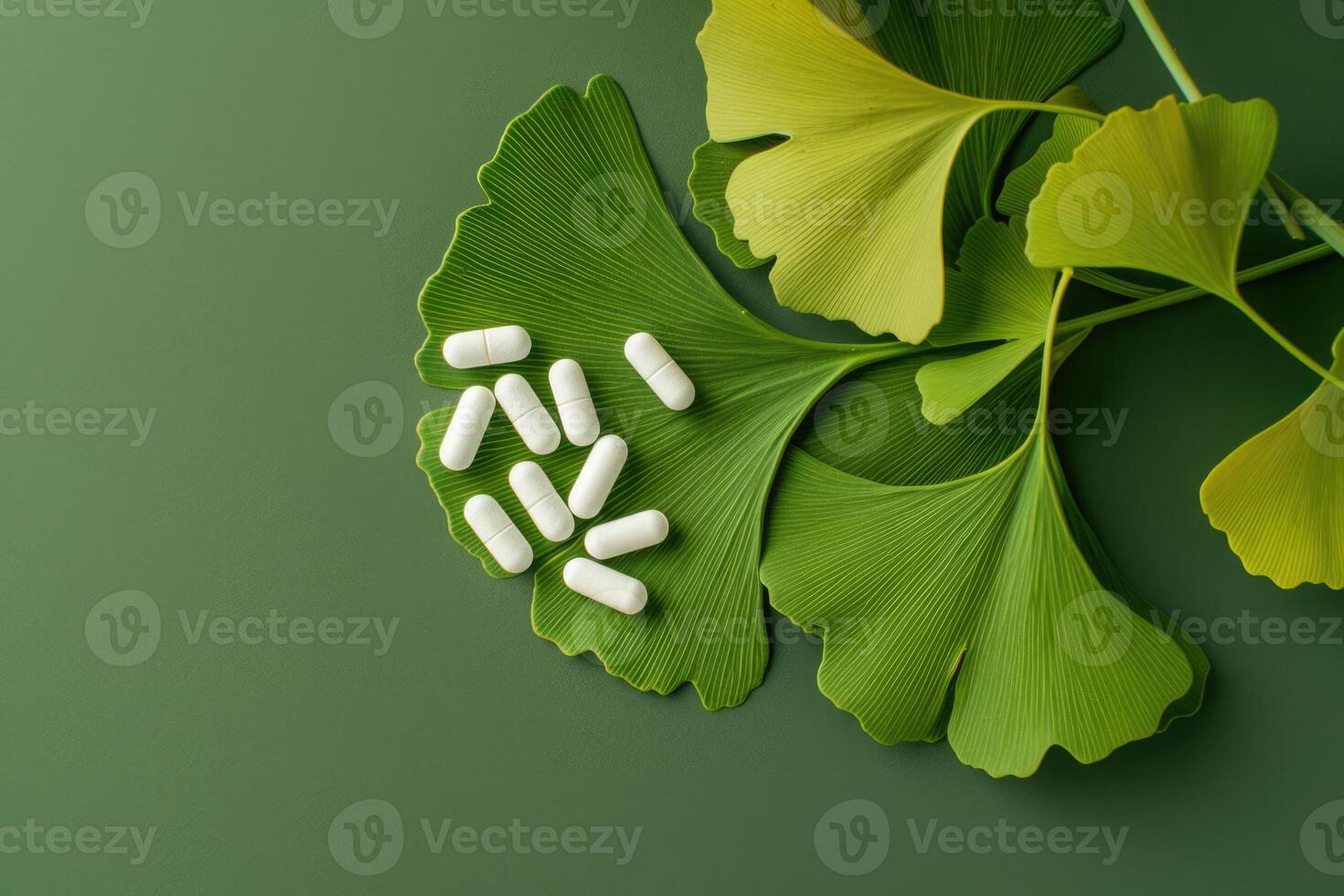 ai generado culantrillo o gingko biloba hojas y pastillas para cerebro, memoria. curación planta en chino medicina foto