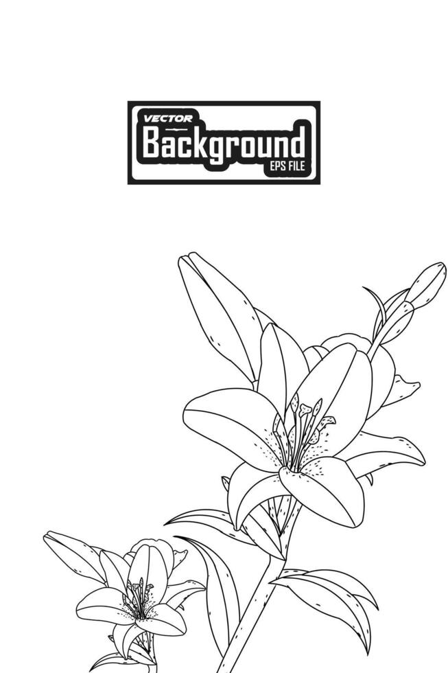 vector antecedentes floral flor diseño ilustración