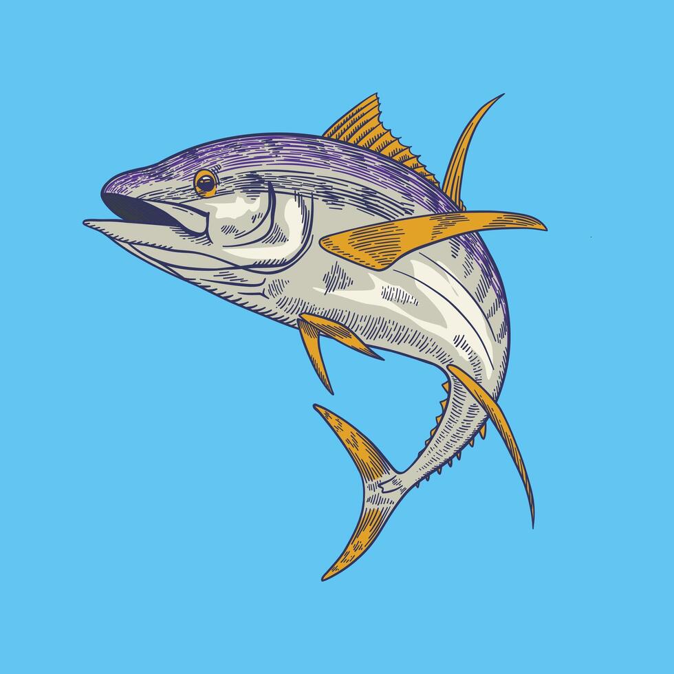 mano dibujado atún pescado en Clásico estilo vector