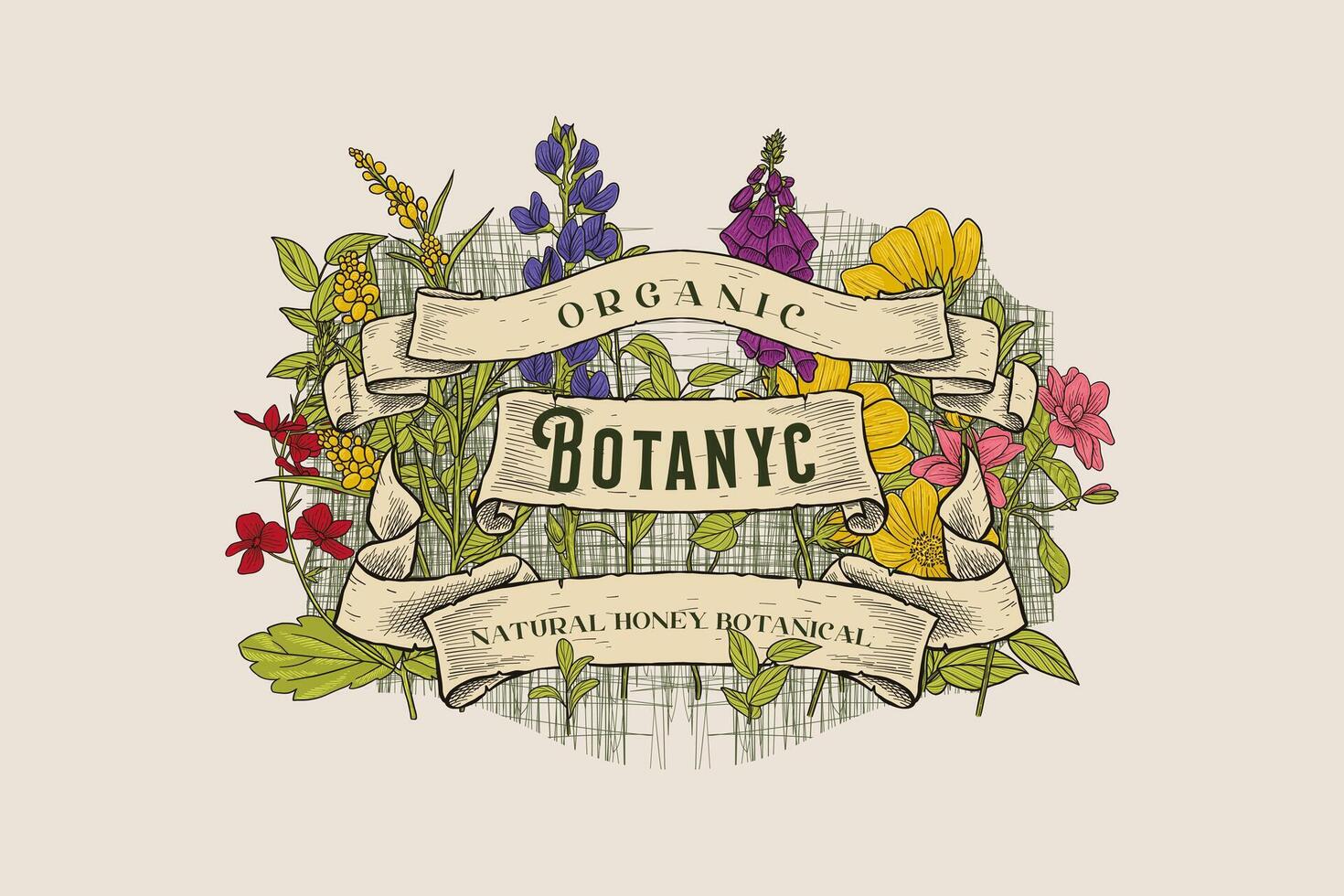 vintage style hand drawn botanical label vector