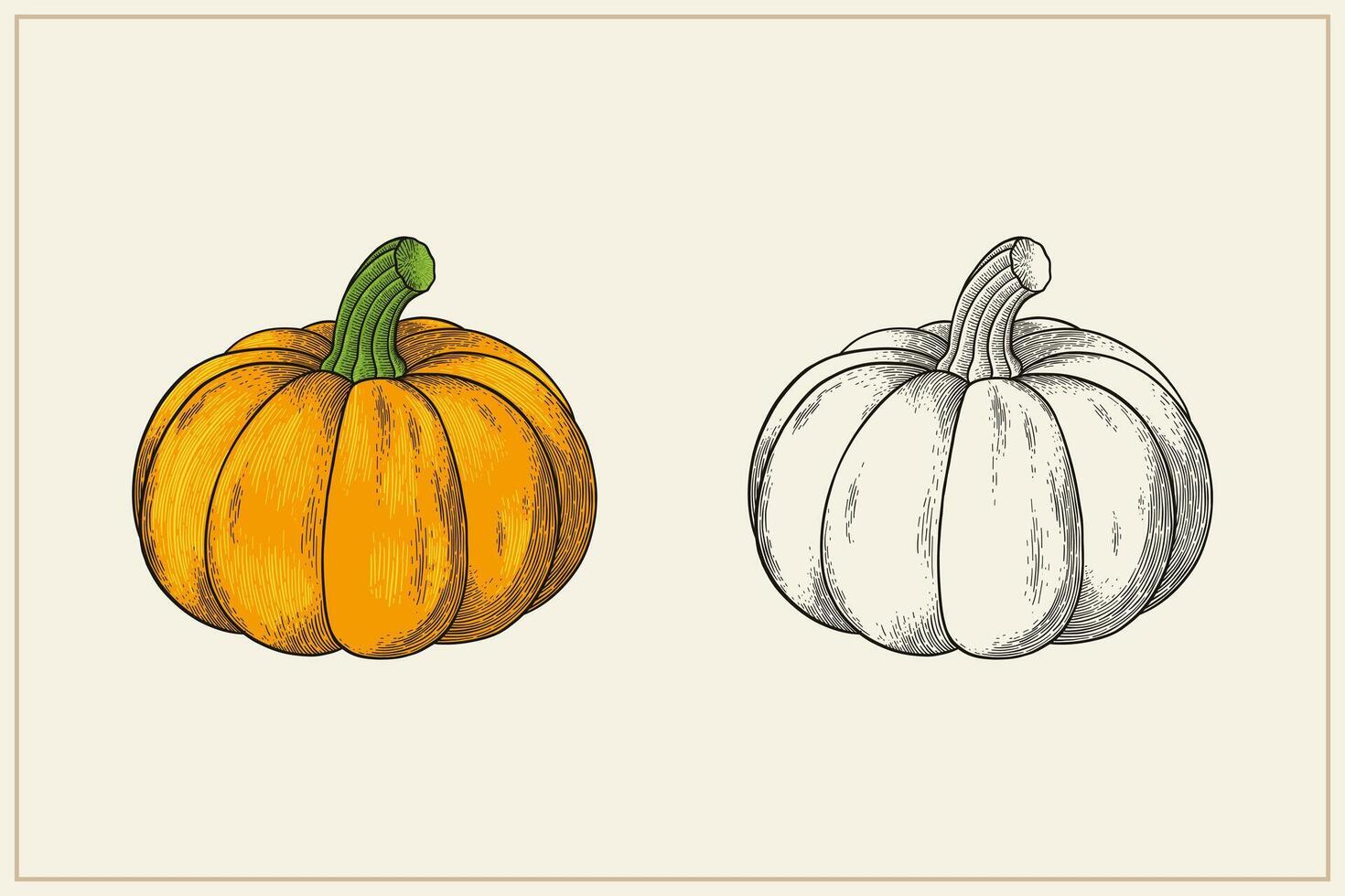 hand drawn vintage style pumpkin vector