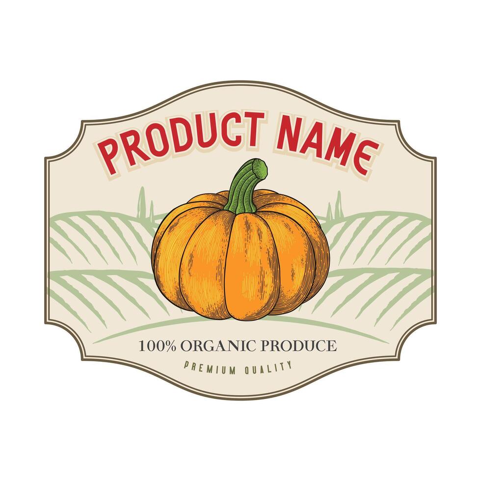 pumpkin illustration farm logo in vintage style vector