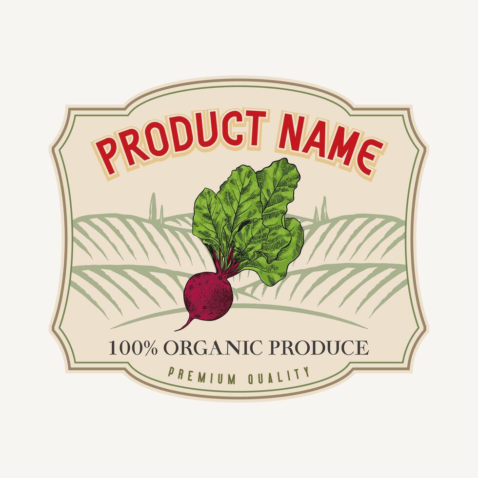 vintage style Kohlrabi label design, organic farming vector