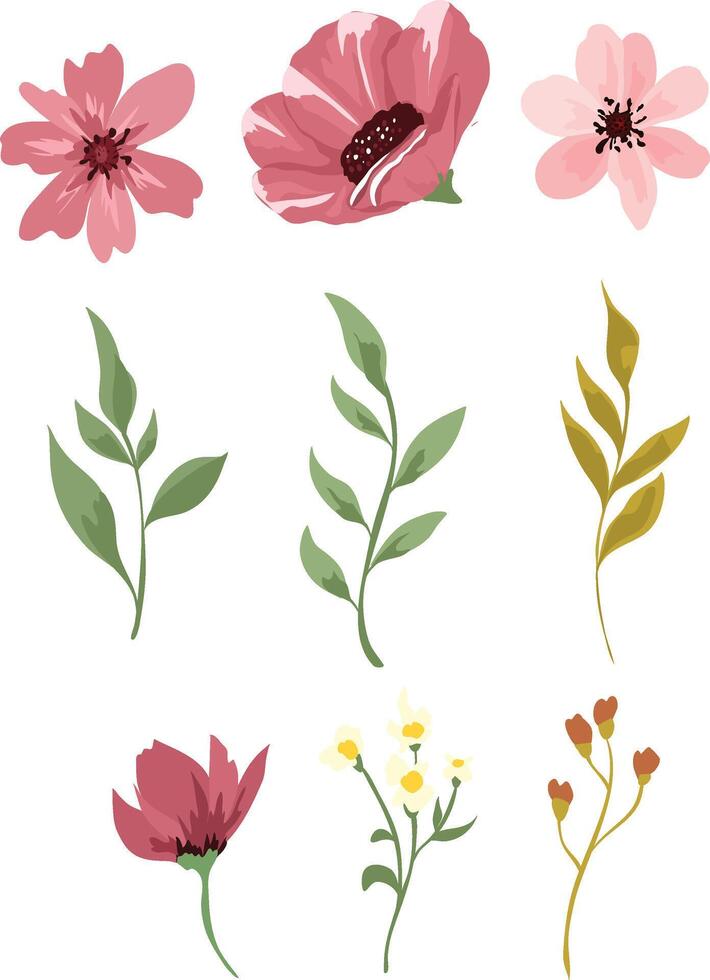 wildflower illustration, vector wildflower element