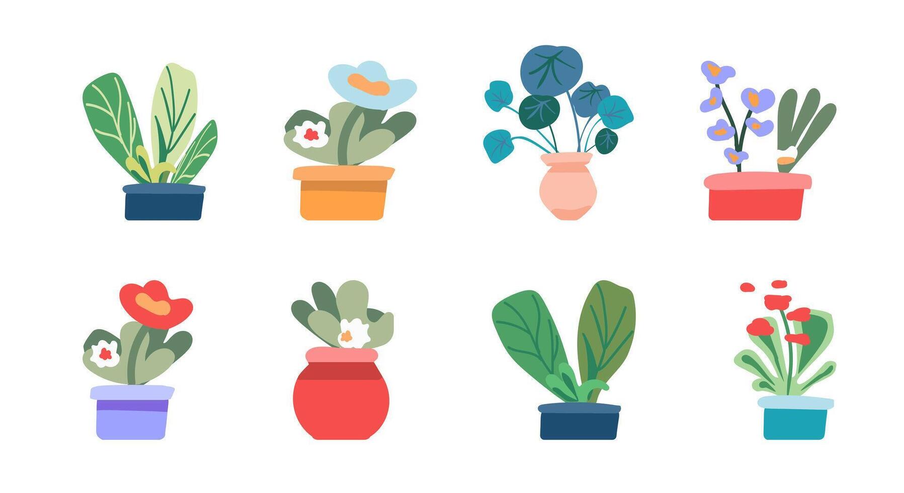 Botanical set, indoor flowers. House plants in pots for the interior. Minimalist style. Vector .