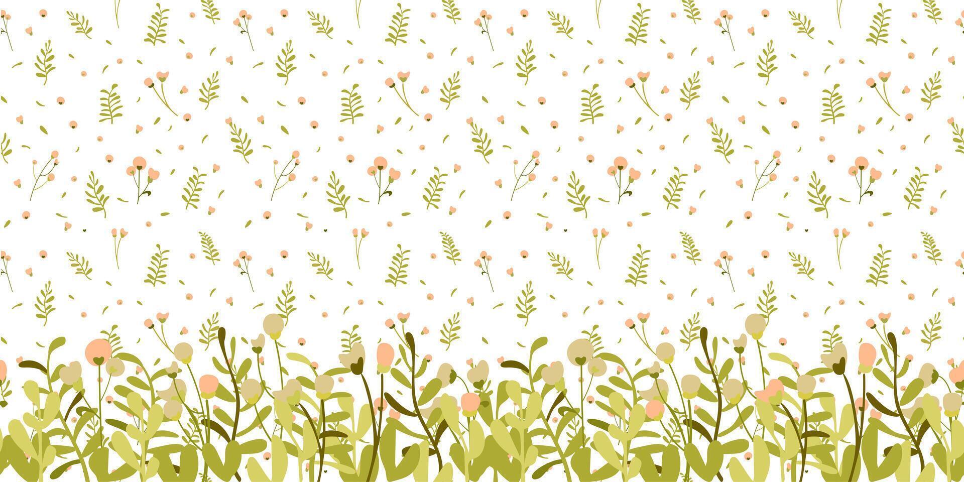 Botanical seamless pattern hand drawn. White background with plant border. Minimalist style. Vector