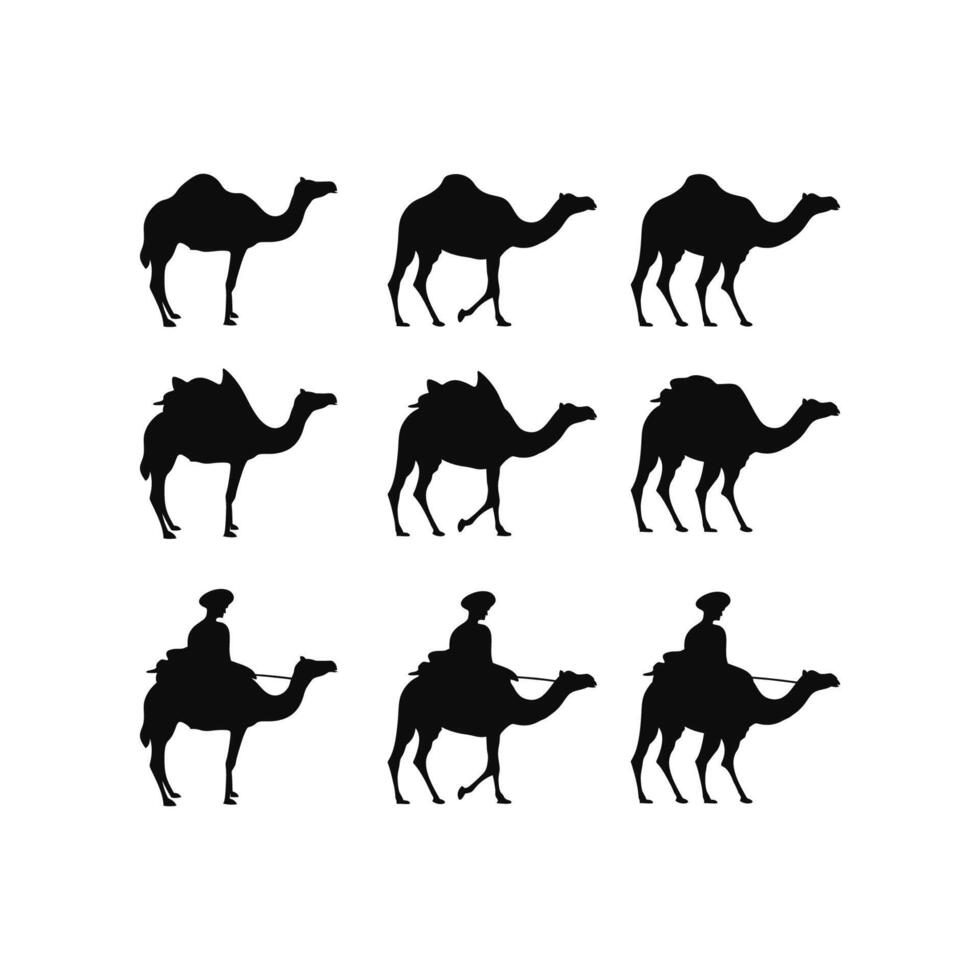Set camel black silhouette vector. Isolated on white background. vector