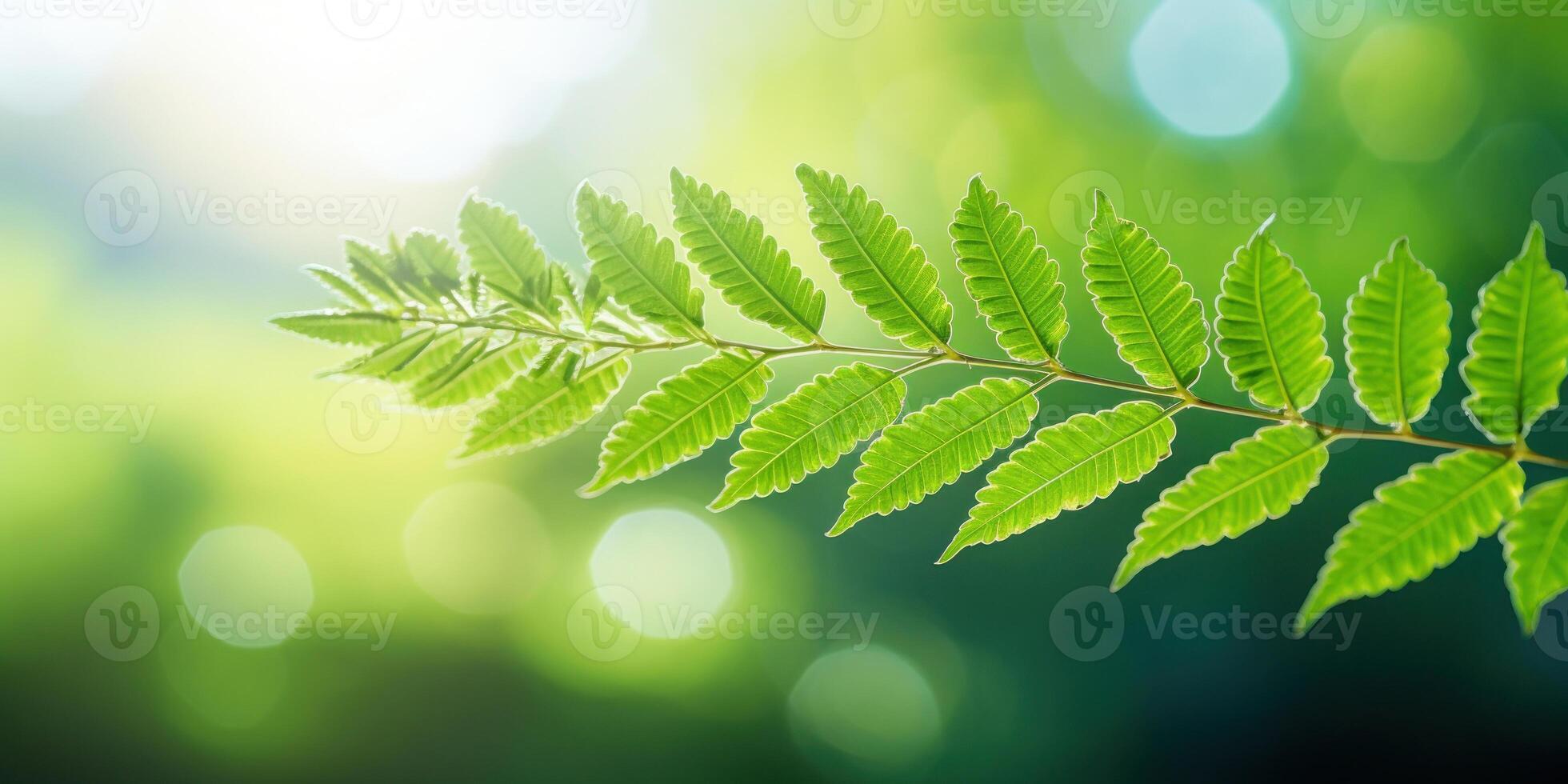 AI Generated Fresh Green Fern Leaves Backlit By The Sun. Natural Background. Generative AI photo