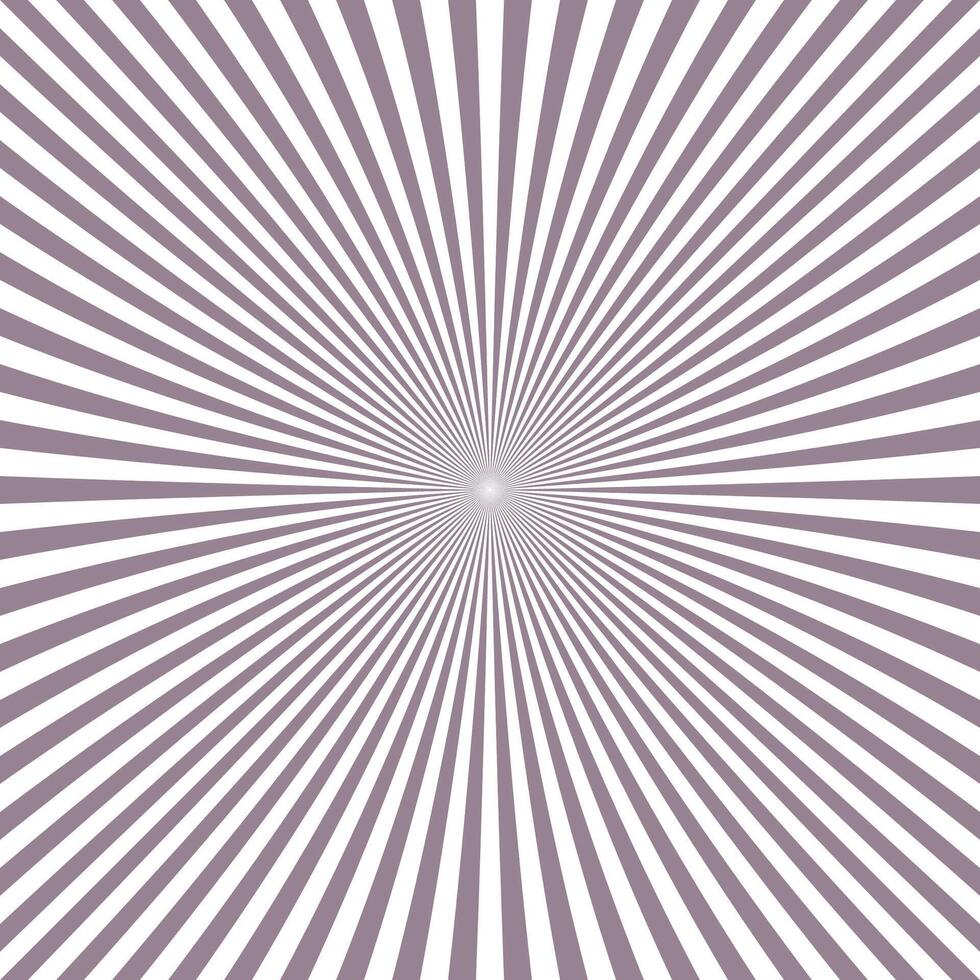 Grey sun burst background vector