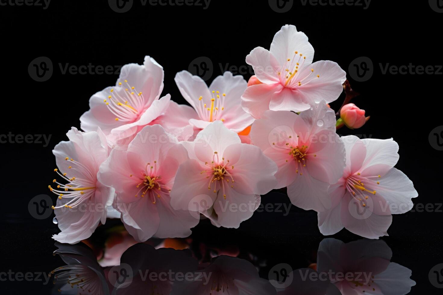 AI generated A tree branch with delicate tiny flowers lies on the table photo