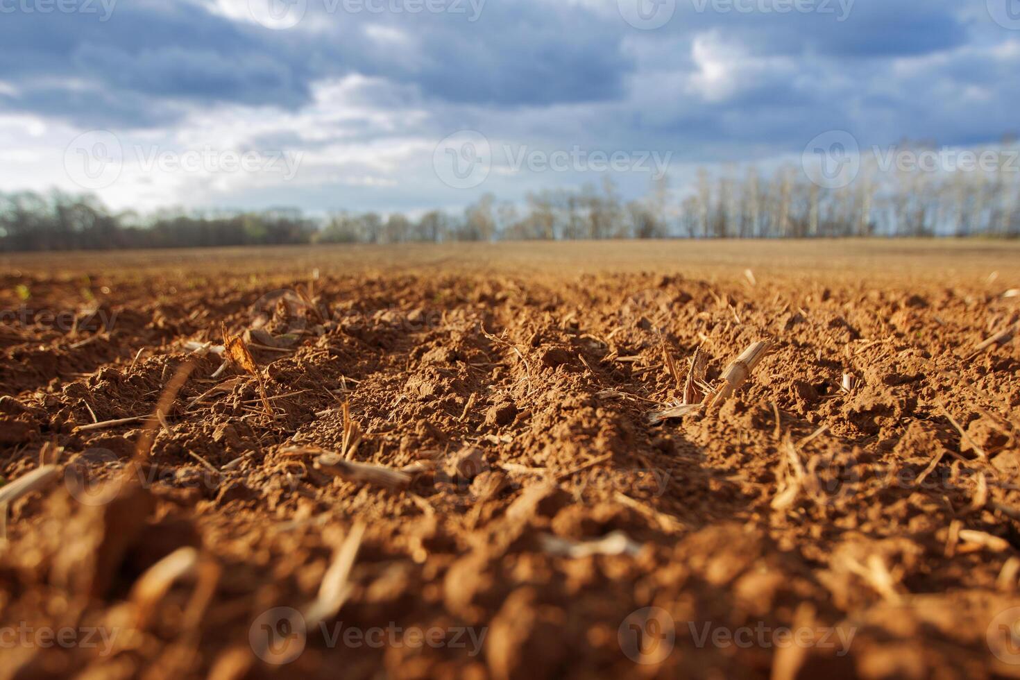 Plowed land before winter. Agricultural grounds. Agriculture. photo