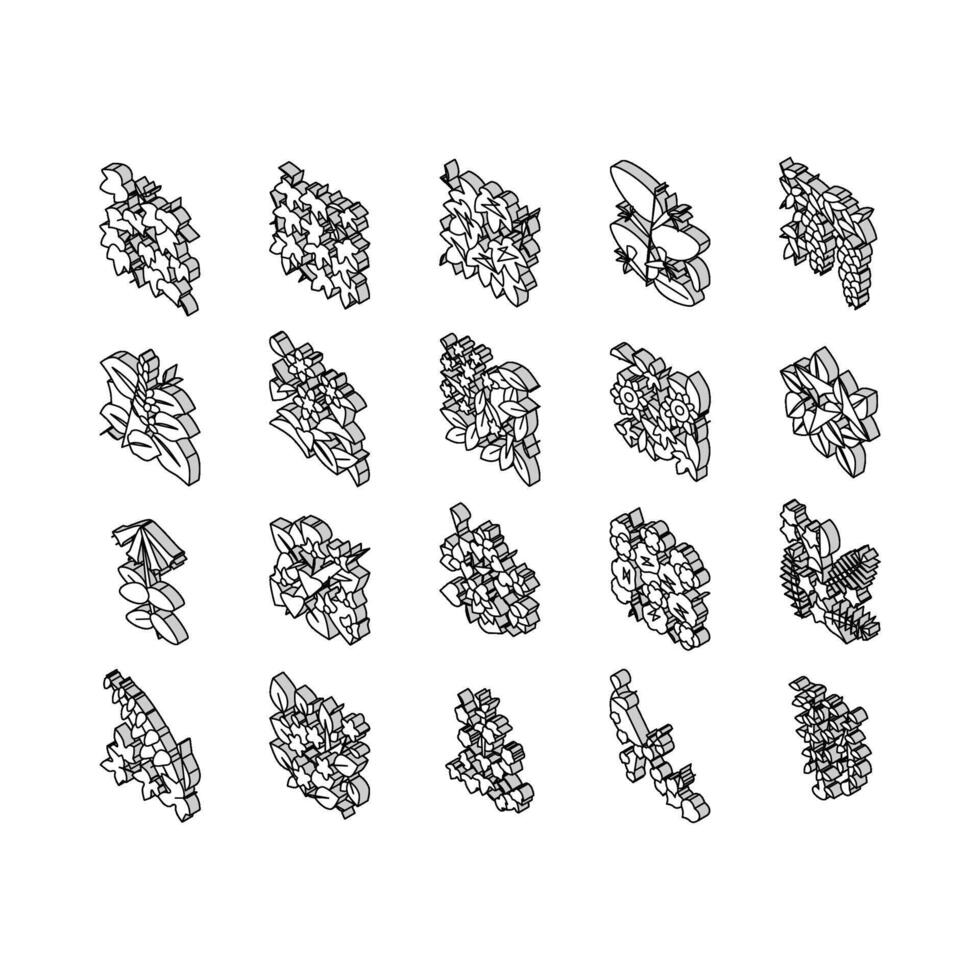 Vine Liana Exotic Growing Plant isometric icons set vector