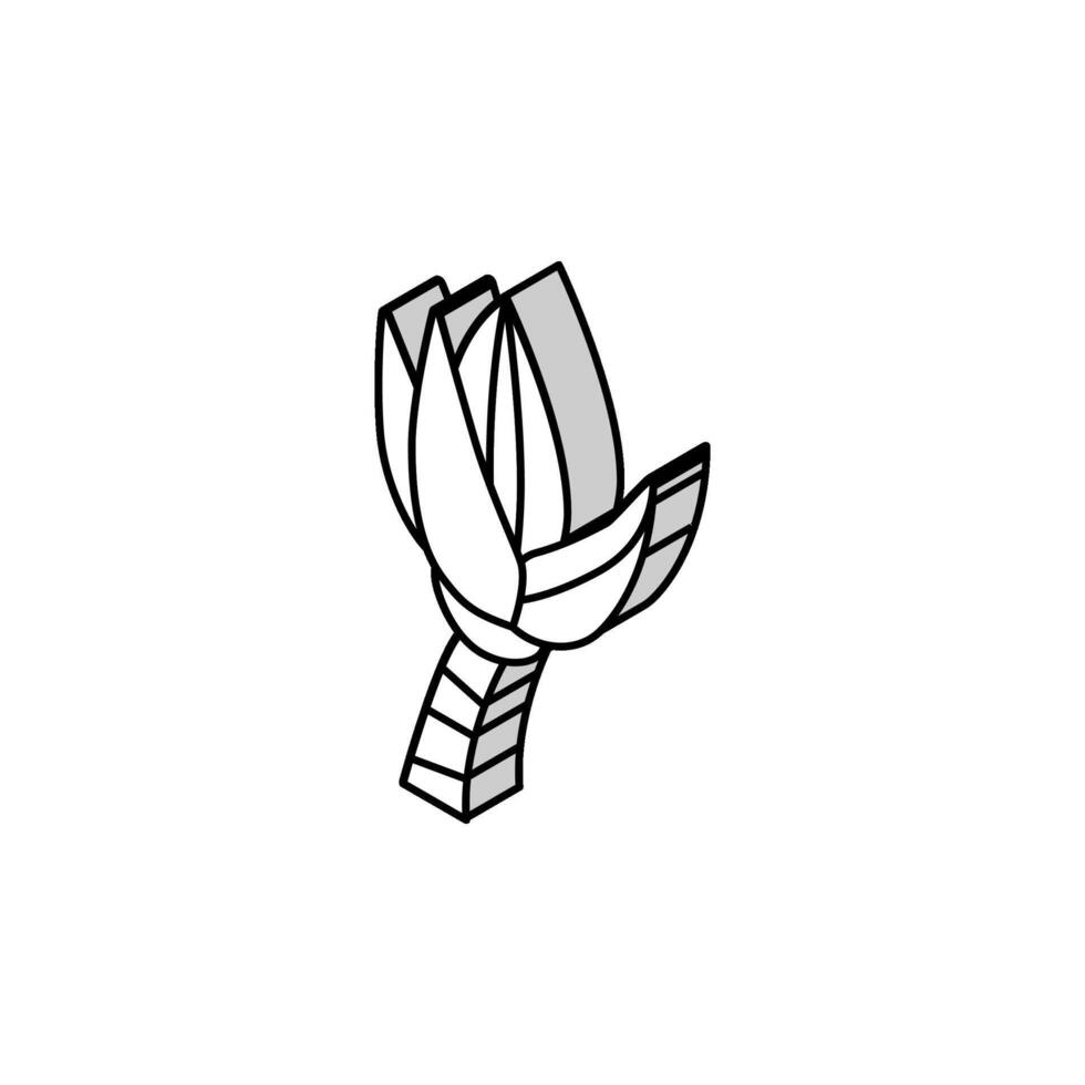 flower banana isometric icon vector illustration