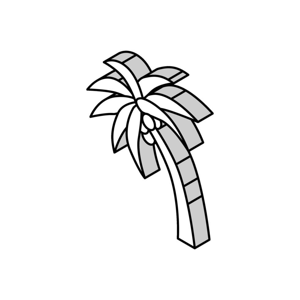 palm tree coconut isometric icon vector illustration