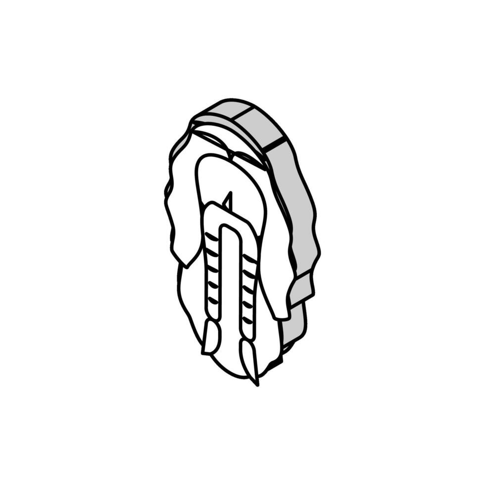 barba vikingo isométrica icono vector ilustración