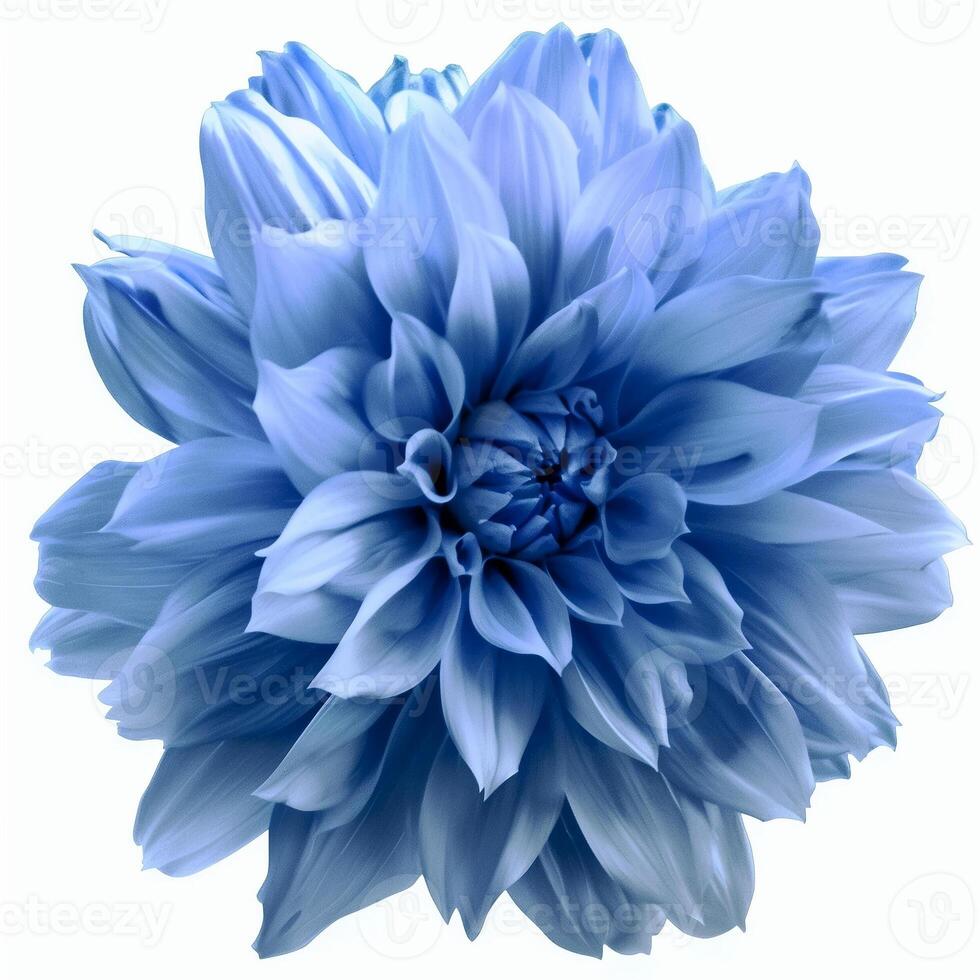 AI generated light blue flower on a white background photo