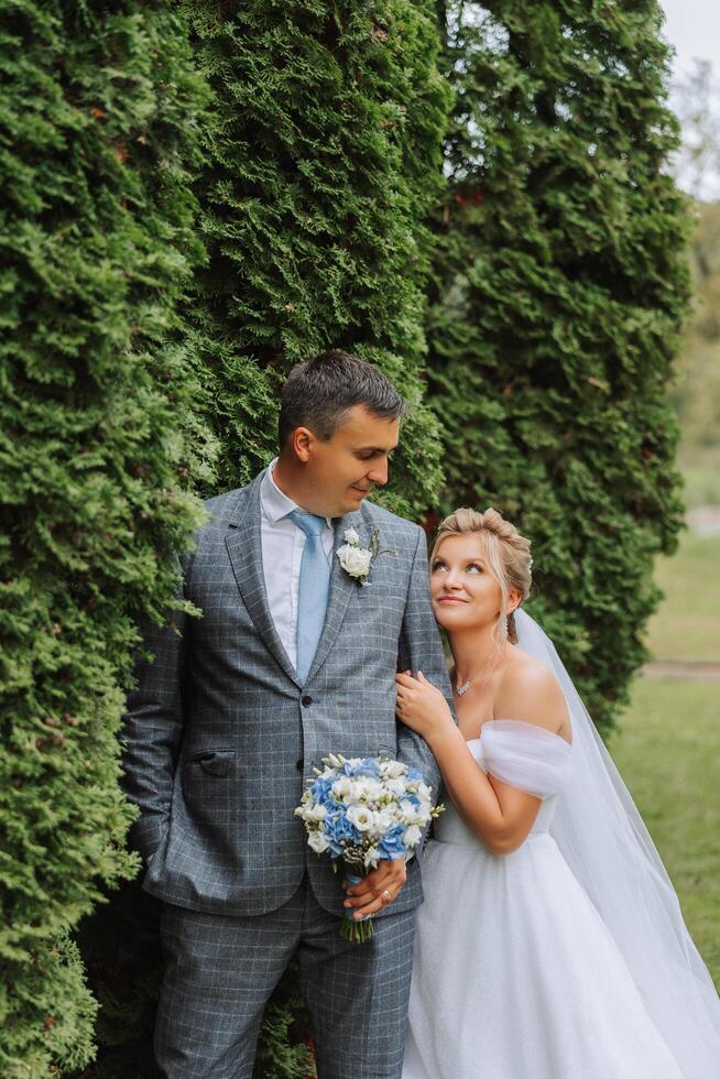 The bride and groom embrace. The bride gently hugs the groom by the shoulders. Beautiful wedding couple. The concept of romance in a newlyweds relationship. Honeymoon. photo