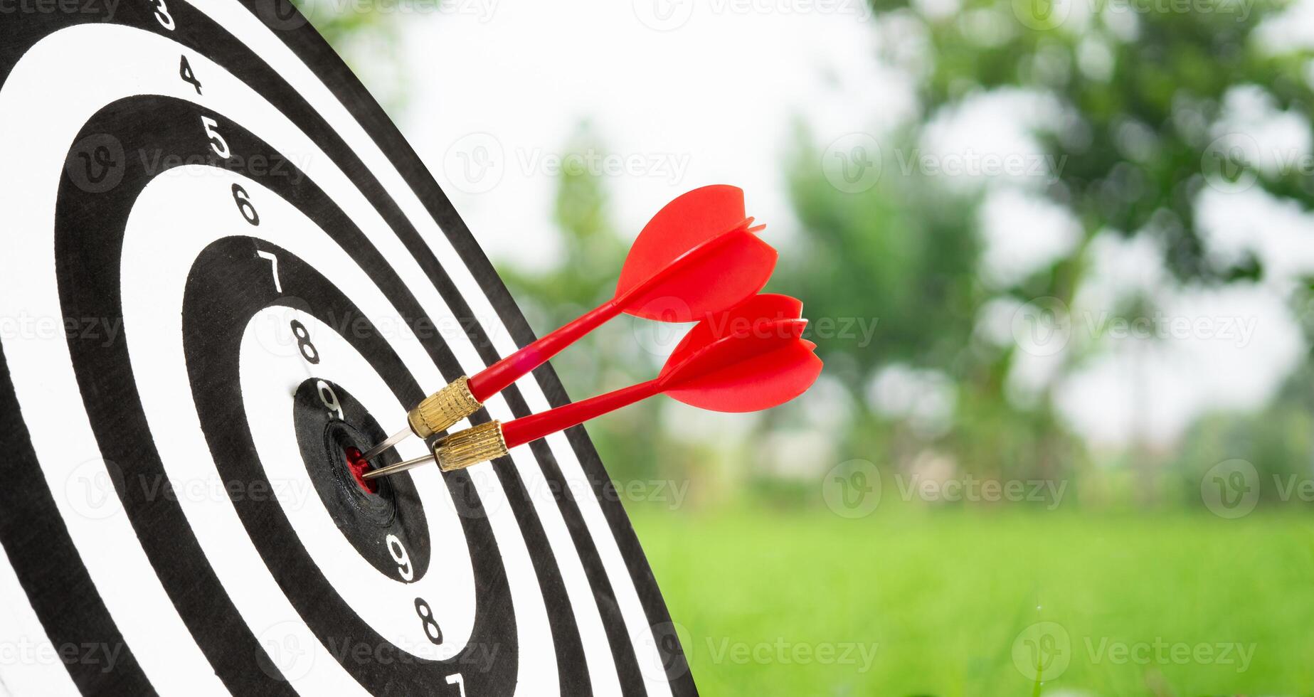 two dart on target background photo