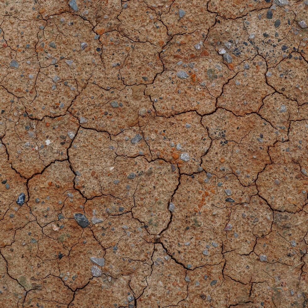 dry and arid soil, climate change photo