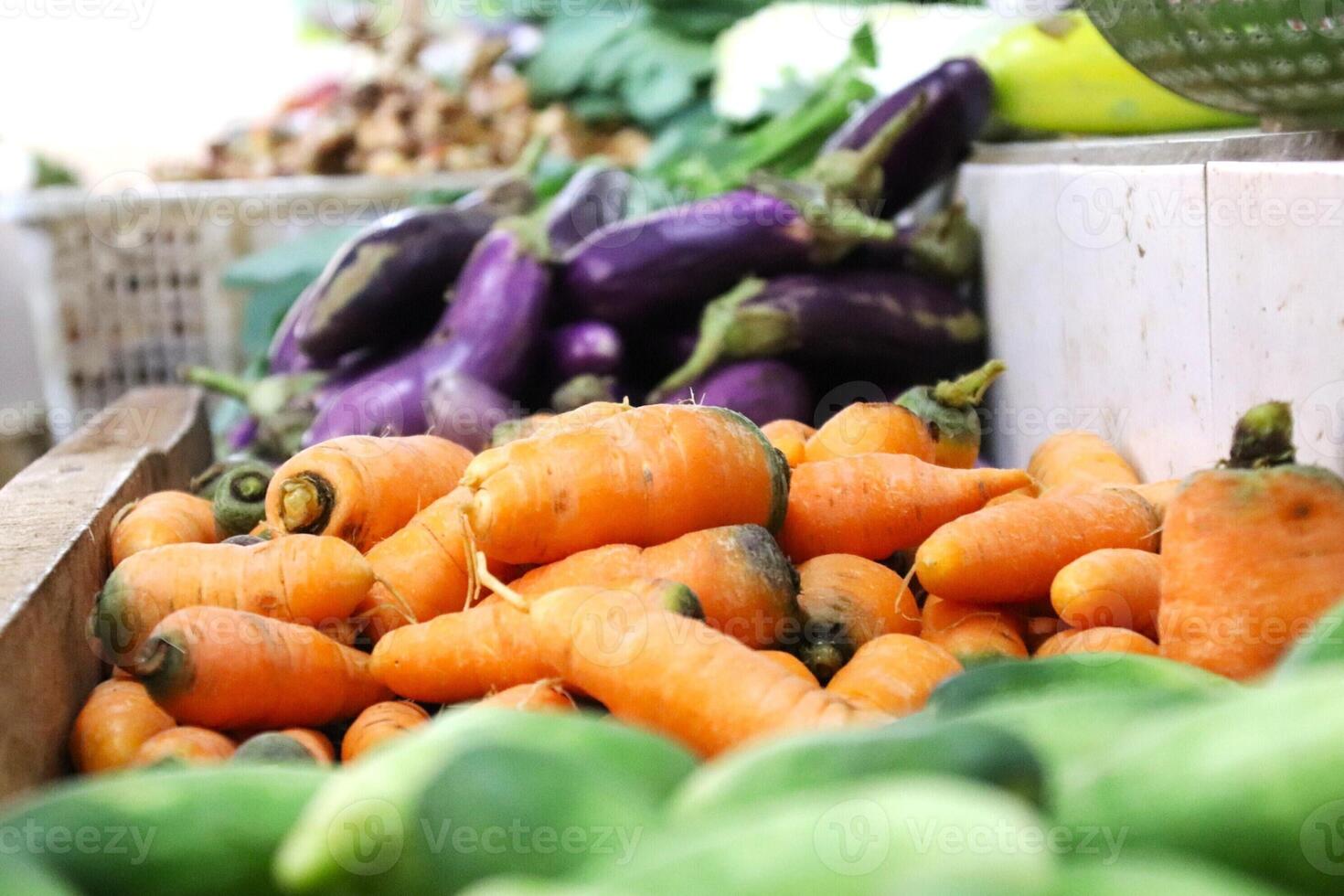 fresh carrot and eggplant photo