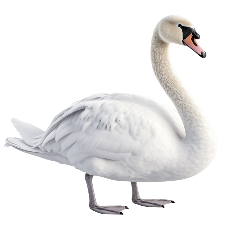 AI generated Swan clip art png