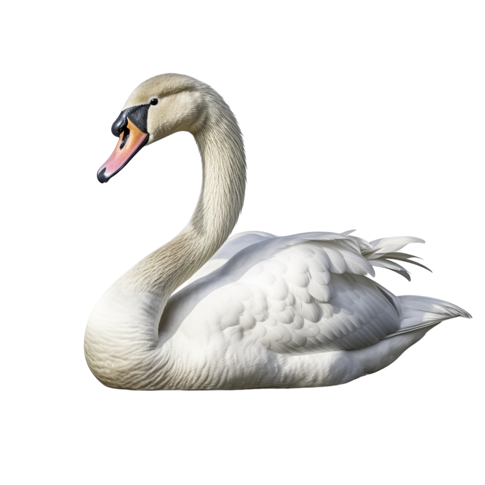 AI generated Swan clip art png